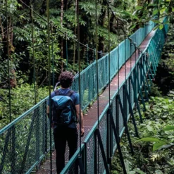 Ortlieb Packman Pro2 Backpack - 20 Litre - Petrol -Bicycle Equipment Store 9 65