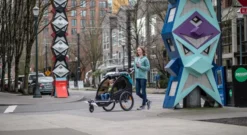 Burley Encore X Child Trailer - Turquoise -Bicycle Equipment Store encore x lifestyle 2